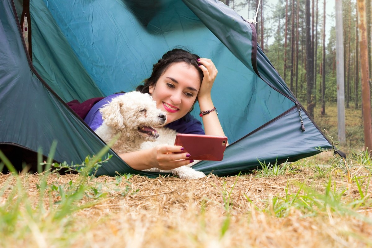 Best Camping Spots in USA for Couples with Dogs